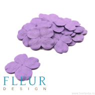 Гортензия крупная Светло-фиолетовая, размер цветка 5 см, 20 шт